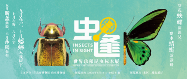 【中秋、国庆展览活动公告】青博邀您共赴明月之约，同贺祖国华诞！1019.png